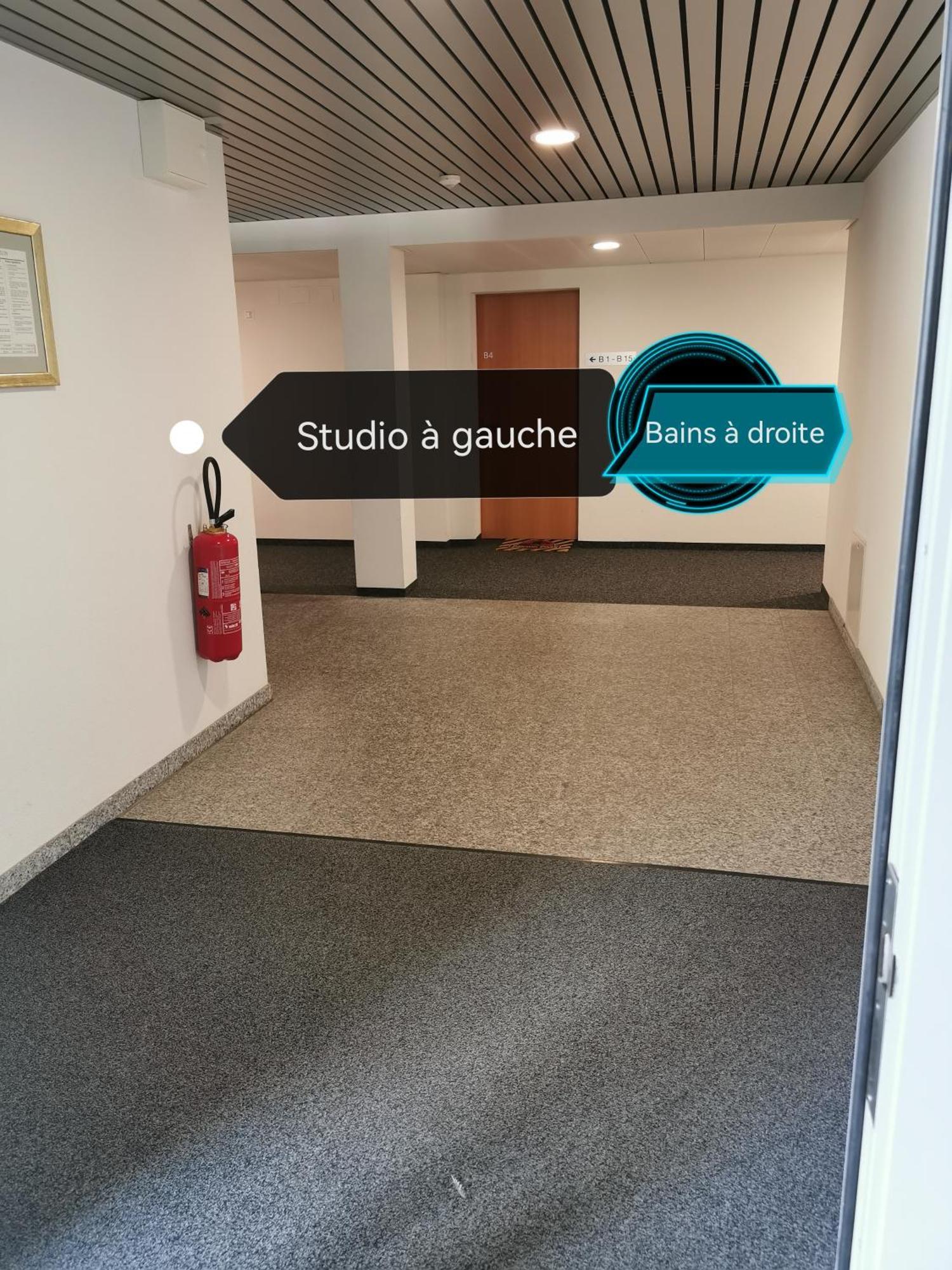 Superbe Studio A Saillon Les Bains Exteriör bild